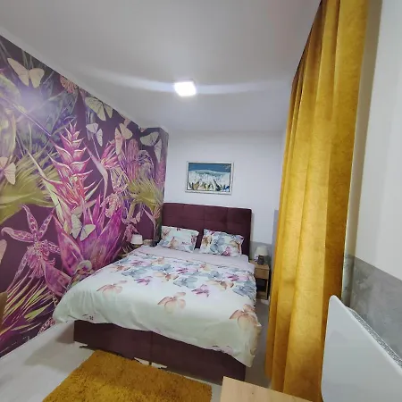 Honeymoon Apartment Soko Banja